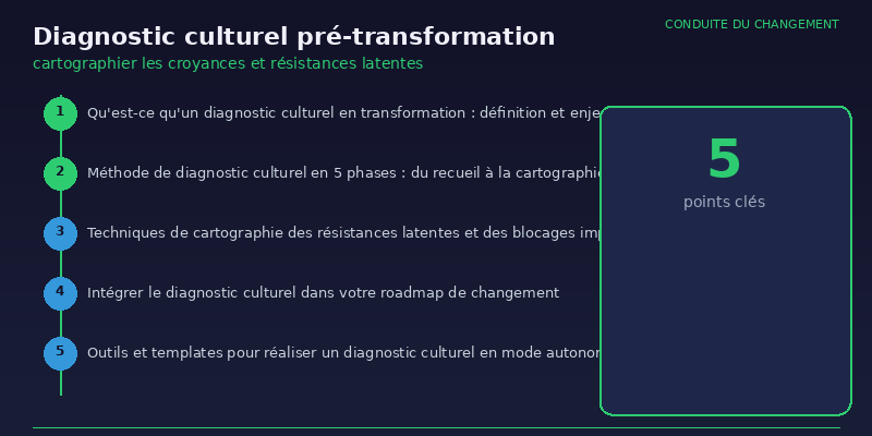 Diagnostic culturel pré-transformation - infographie