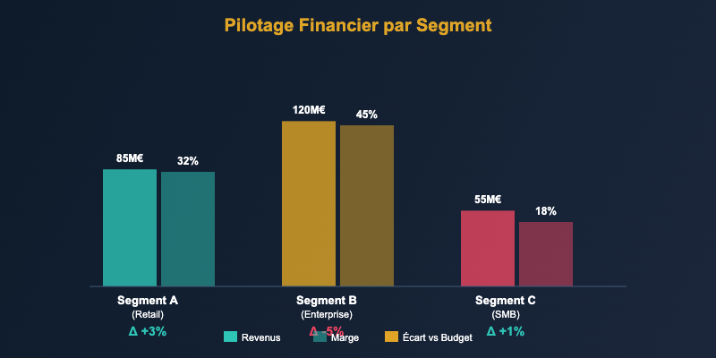 Dashboard pilotage financier par segment revenus marges ecarts budget